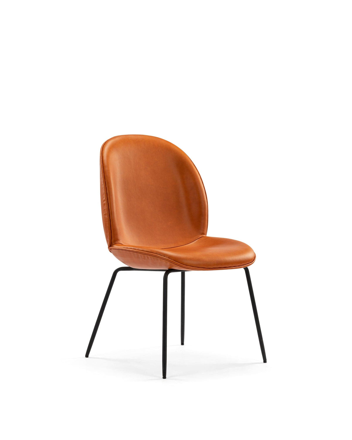 Beetle Side Chair | FINAL SALE