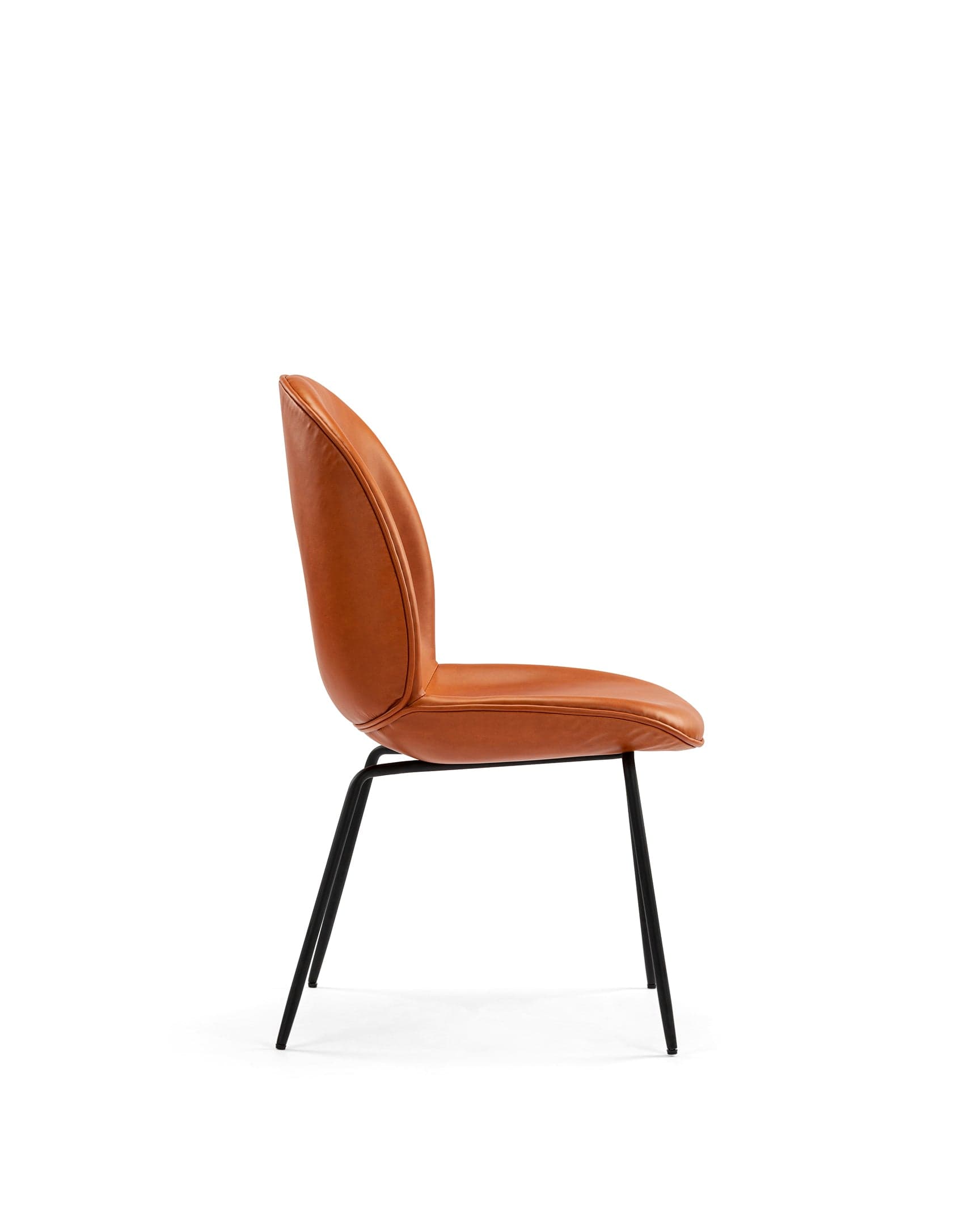 Beetle Side Chair | FINAL SALE