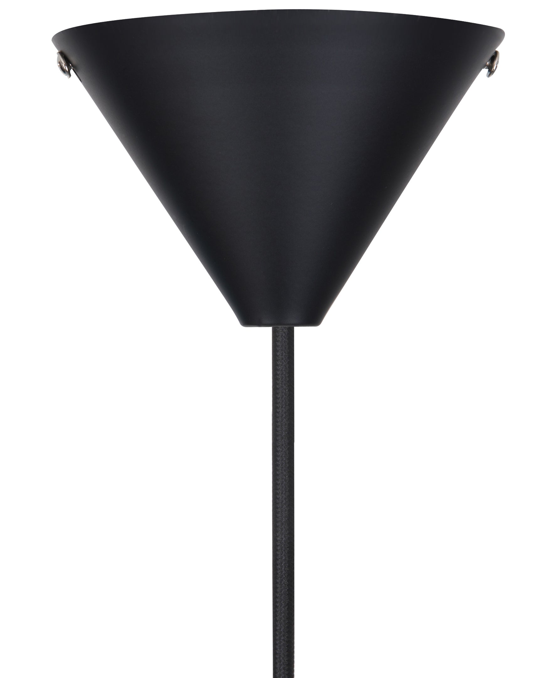 Grasshopper Pendant Lamp | FINAL SALE