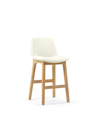 LeBlanc Counter Stool