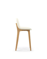 LeBlanc Counter Stool