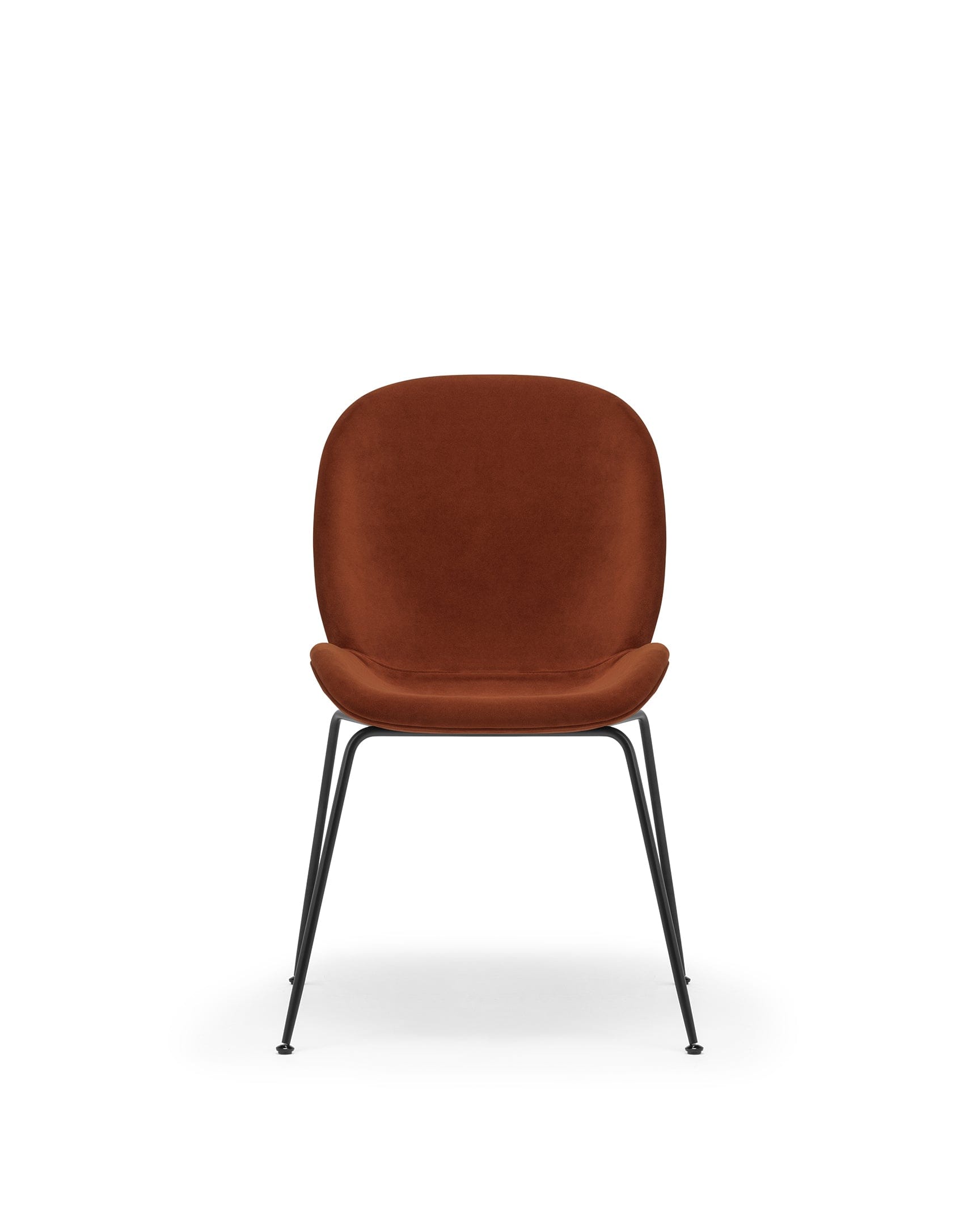 Beetle Side Chair | FINAL SALE
